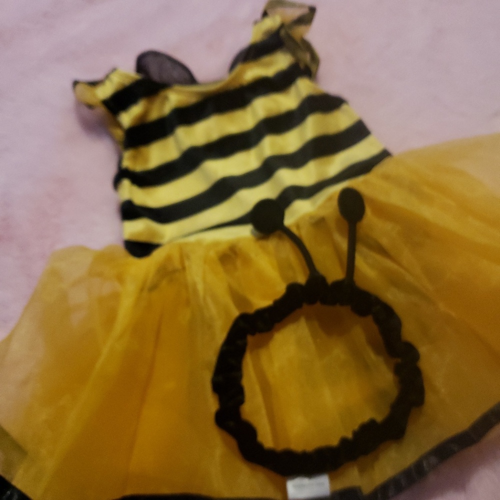 Gymboree bumblebee bee costume 6-12